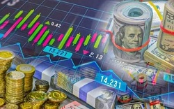 Курс валют без паники: как казахстанцам принимать разумные решения с деньгами